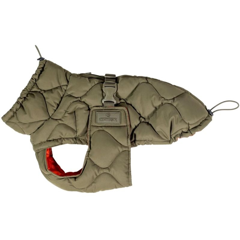 Hundemantel Winter Pina 160g Grün