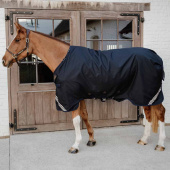 Turnout Rug All Weather Waterproof Comfort 100g Marineblau Turnout Rug All Weather Waterproof Comfort 100g Marineblau