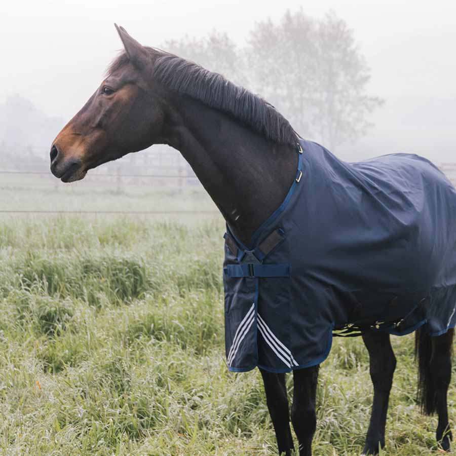 Turnout Rug All Weather Waterproof Comfort 100g Marineblau