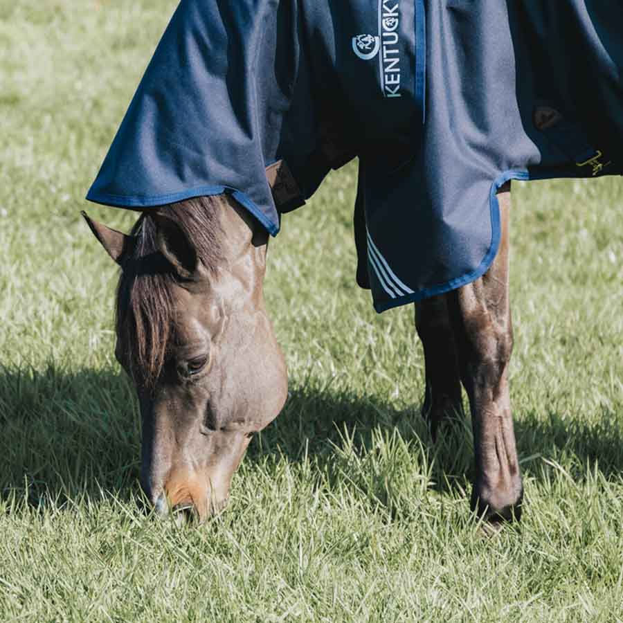 Turnout Rug All Weather Waterproof Comfort 100g Marineblau