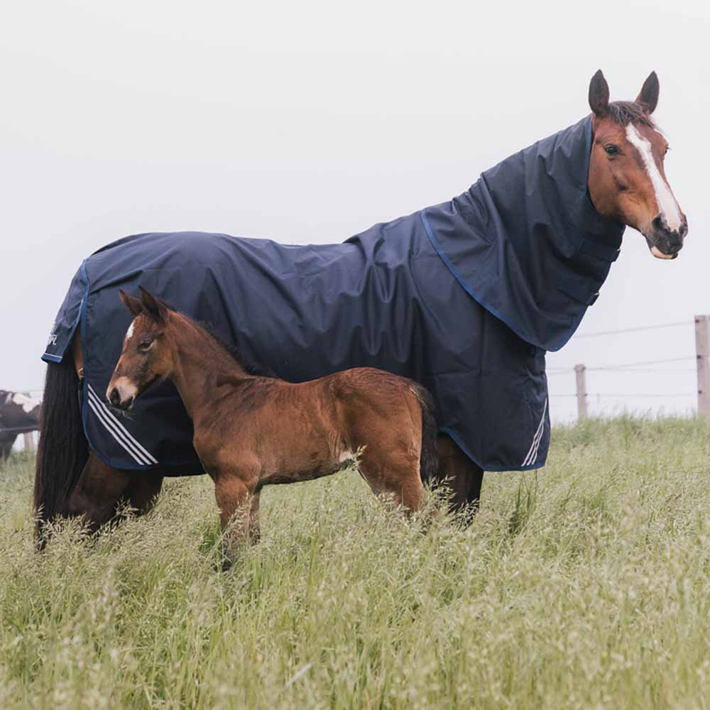 Turnout Rug All Weather Waterproof Comfort 200g Marineblau