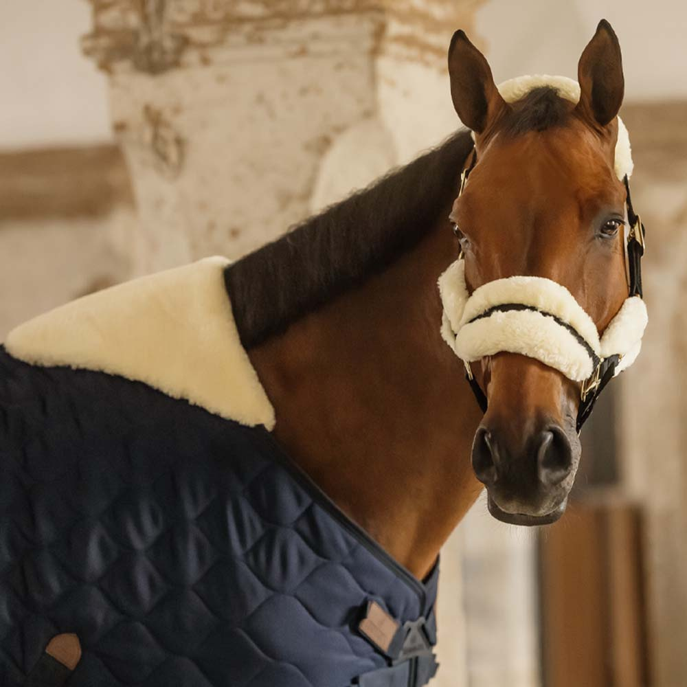 Stalldecke Comfort 100g Marineblau