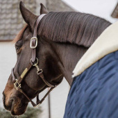 Stalldecke Comfort 100g Marineblau Stalldecke Comfort 100g Marineblau