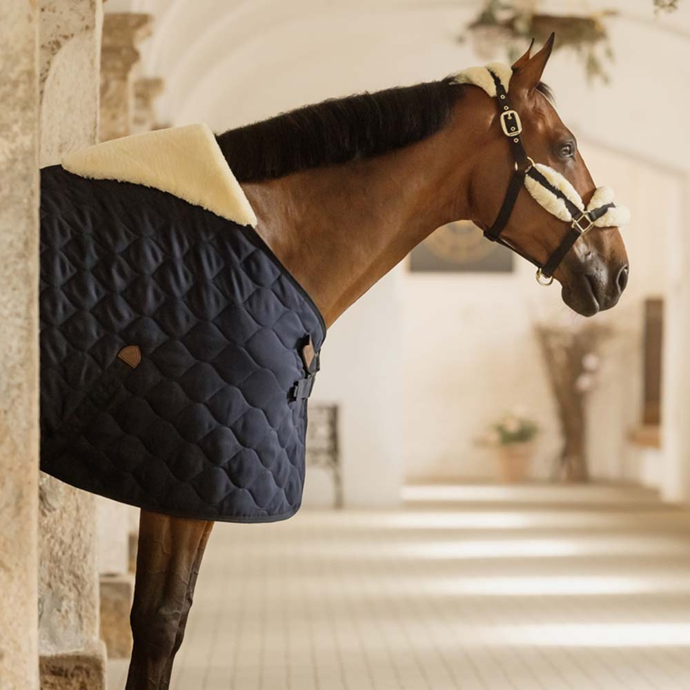 Stalldecke Comfort 200g Marineblau