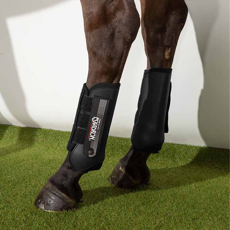 Beinschutz Feldwettbewerb Hinten Cross Country Schwarz