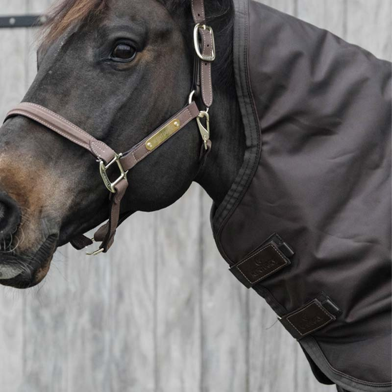 Halsteil All Weather Pro 150g Braun