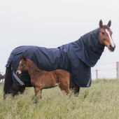 Hals All Weather Waterproof Comfort 200g Marineblau Hals All Weather Waterproof Comfort 200g Marineblau