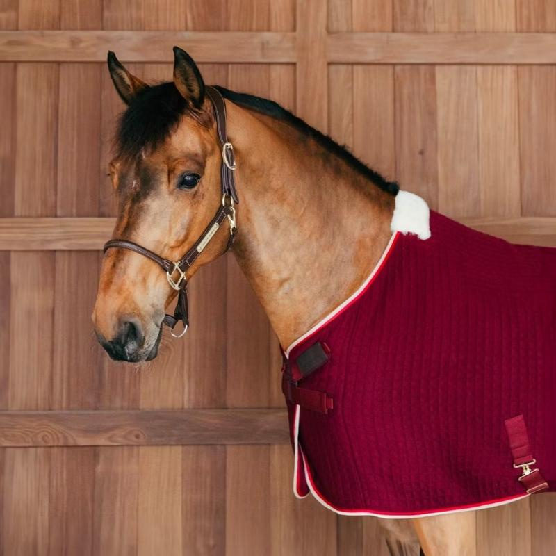 Abschwitzdecke PROTherm Bordeaux
