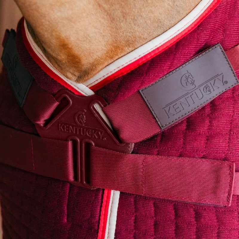 Abschwitzdecke PROTherm Bordeaux