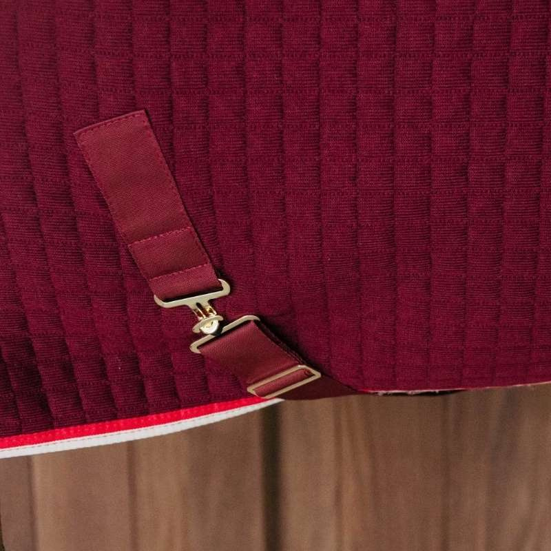 Abschwitzdecke PROTherm Bordeaux