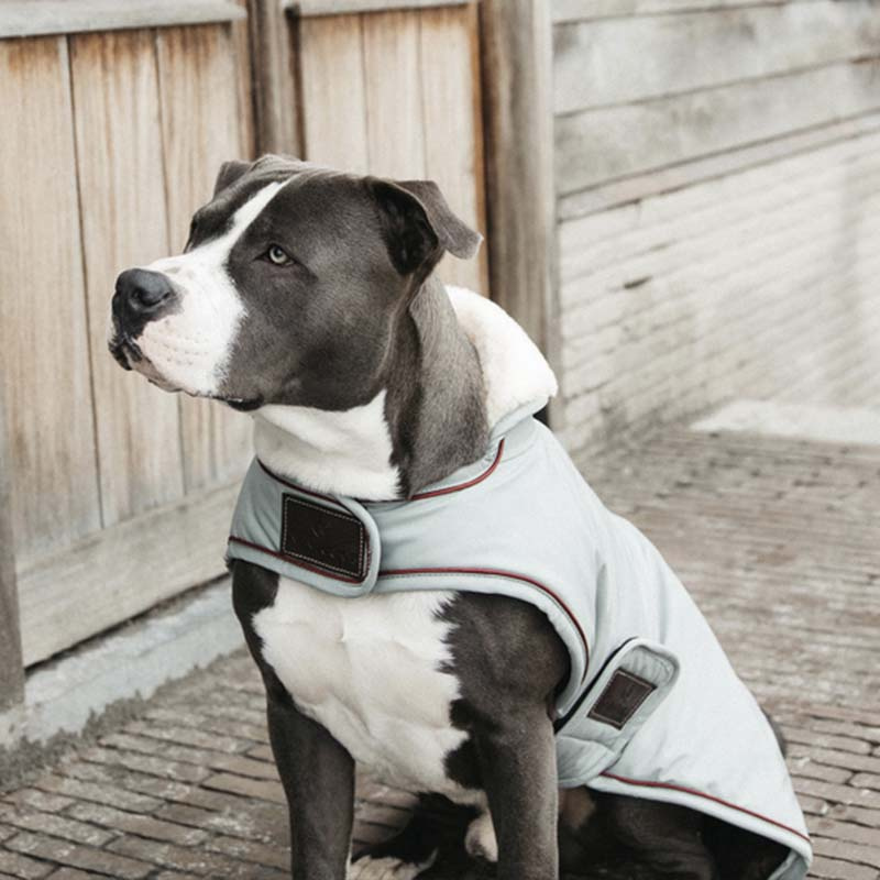 Hundemantel Waterproof 160g Blau