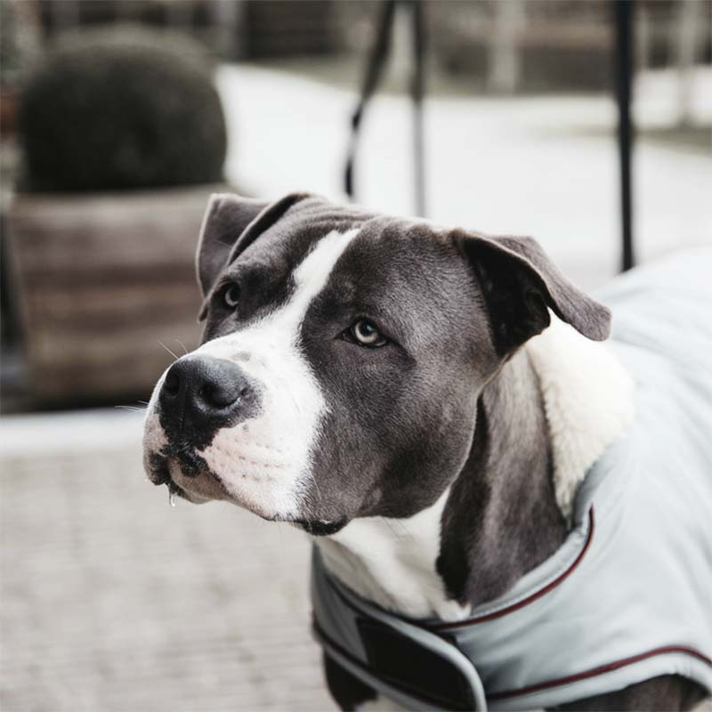 Hundemantel Waterproof 160g Blau