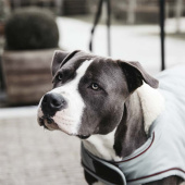 Hundemantel Waterproof 160g Blau Hundemantel Waterproof 160g Blau