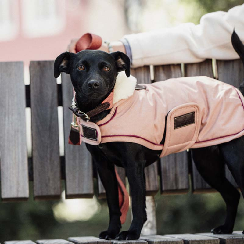 Hundemantel Waterproof 160g Koralle