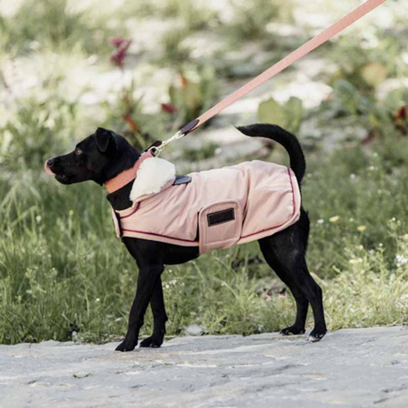 Hundemantel Waterproof 160g Koralle