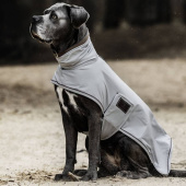 Hunde-Regenmantel 0g Grau Hunde-Regenmantel 0g Grau