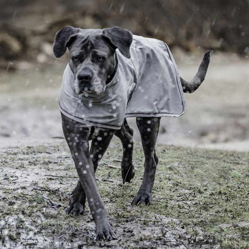Hunde-Regenmantel 0g Grau