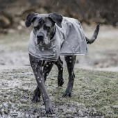 Hunde-Regenmantel 0g Grau Hunde-Regenmantel 0g Grau