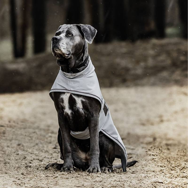 Hunde-Regenmantel 0g Grau