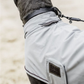 Hunde-Regenmantel 0g Grau Hunde-Regenmantel 0g Grau