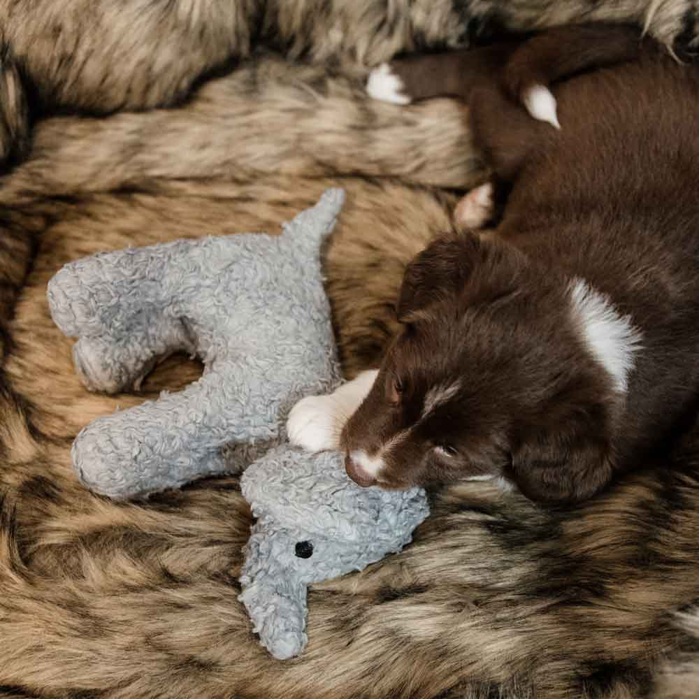 Hundespielzeug Elefant Elsa