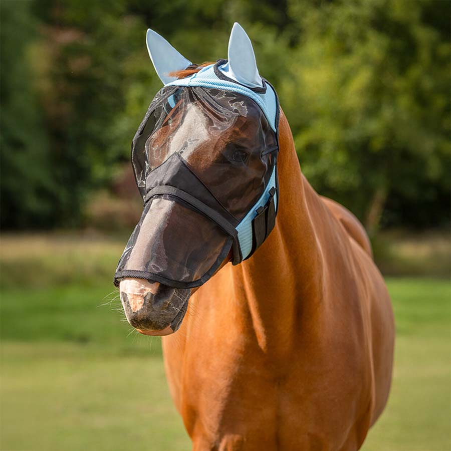 Fliegenhaube Detachable Nose Hellblau
