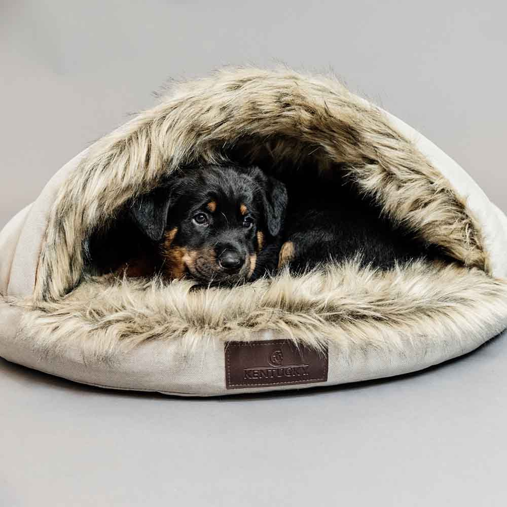 Hundebett Igloo Beige
