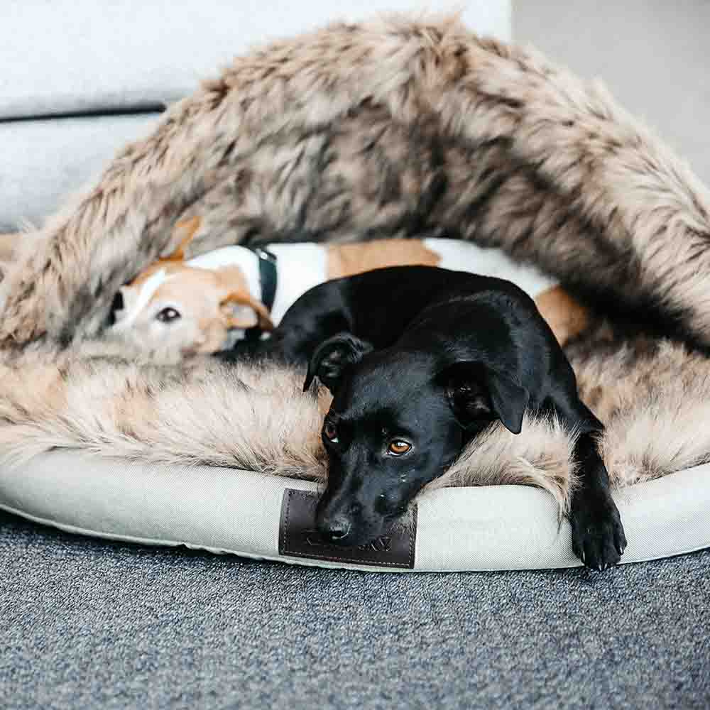 Hundebett Igloo Beige