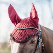 Fliegenhaube Astana Weinrot Fliegenhaube Astana Weinrot