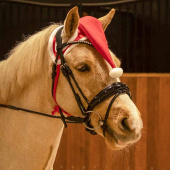 Haube Christmas Hat Rot/Weiß Haube Christmas Hat Rot/Weiß