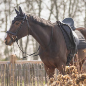 Haube Salerno Schwarz Haube Salerno Schwarz