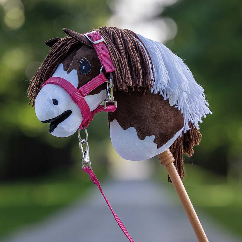 Halfter und Führstrick für Steckenpferd Rosa