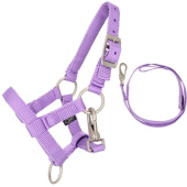 Halter und Führstrick für Steckenpferd Lila Halter und Führstrick für Steckenpferd Lila