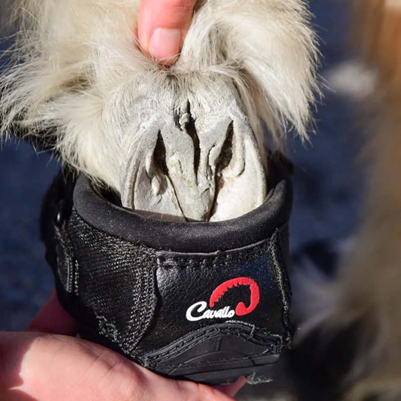 Hufschuhe CLB 2-pack Regular Schwarz