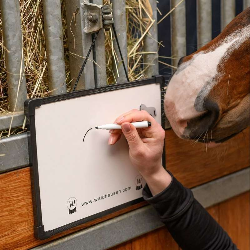 Stalltafel Magnetic MemoBoard Weiß
