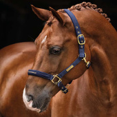 Halfter HS Equestrian Life Marineblau Halfter HS Equestrian Life Marineblau