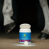Jointbuilder 450g Jointbuilder 450g