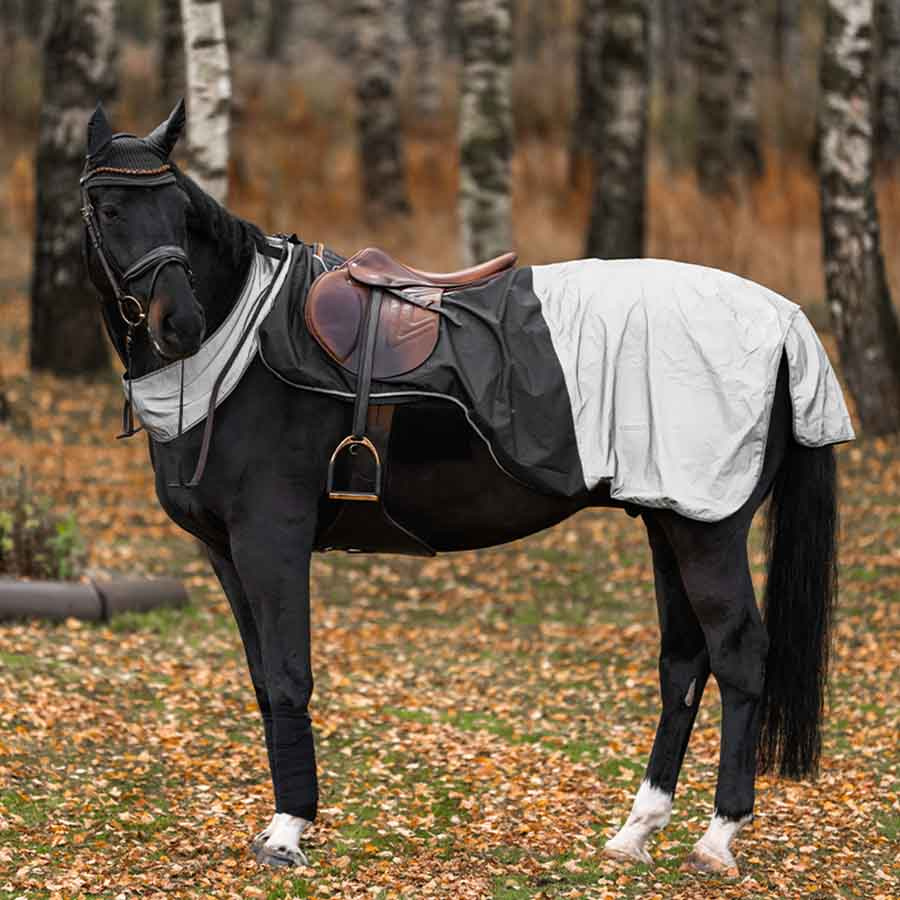 Ausreitdecke HS Brilliance Reflex Schwarz/Silber