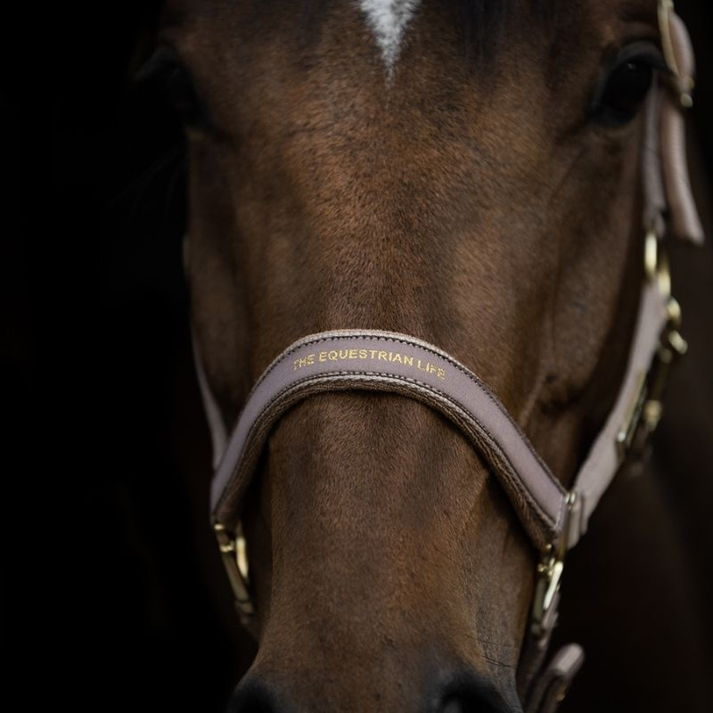 Halfter HS Equestrian Life Beige