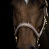 Halfter HS Equestrian Life Beige Halfter HS Equestrian Life Beige