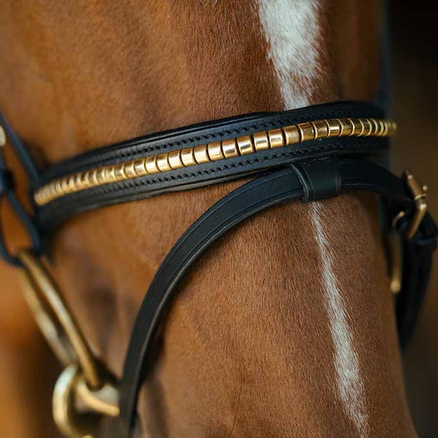 Zaumzeug HS Clincher Aachen Schwarz