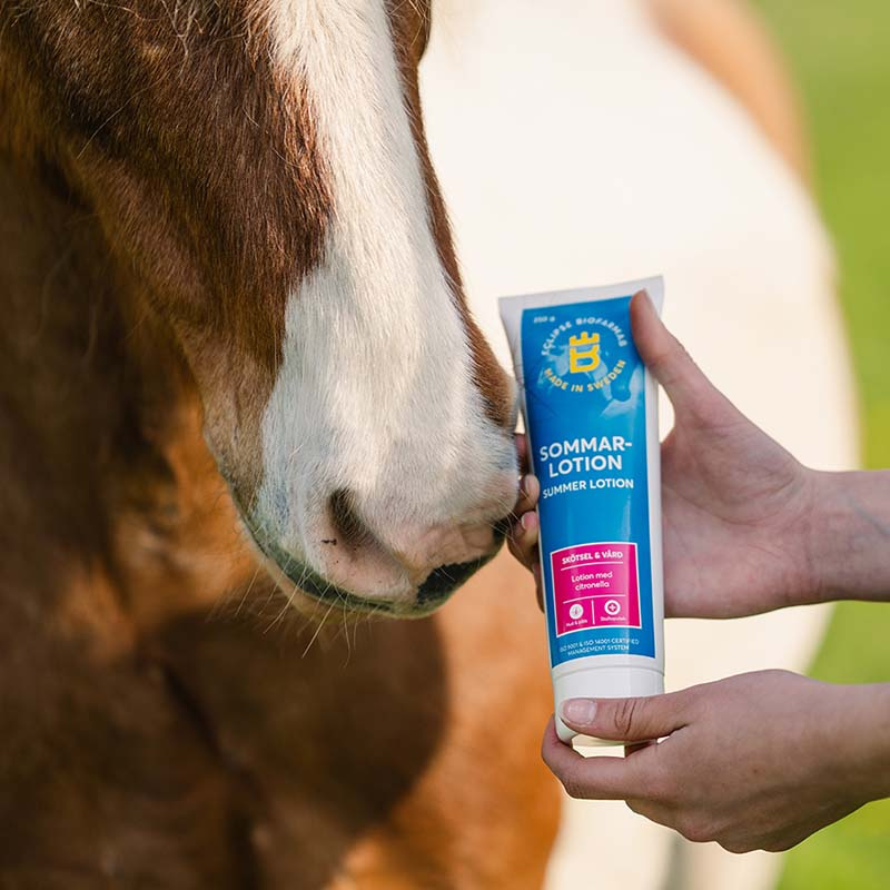 Sommer Lotion Citronella 250ml