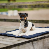 Hundebett HS Picnic Fold 88x66cm Marineblau Hundebett HS Picnic Fold 88x66cm Marineblau