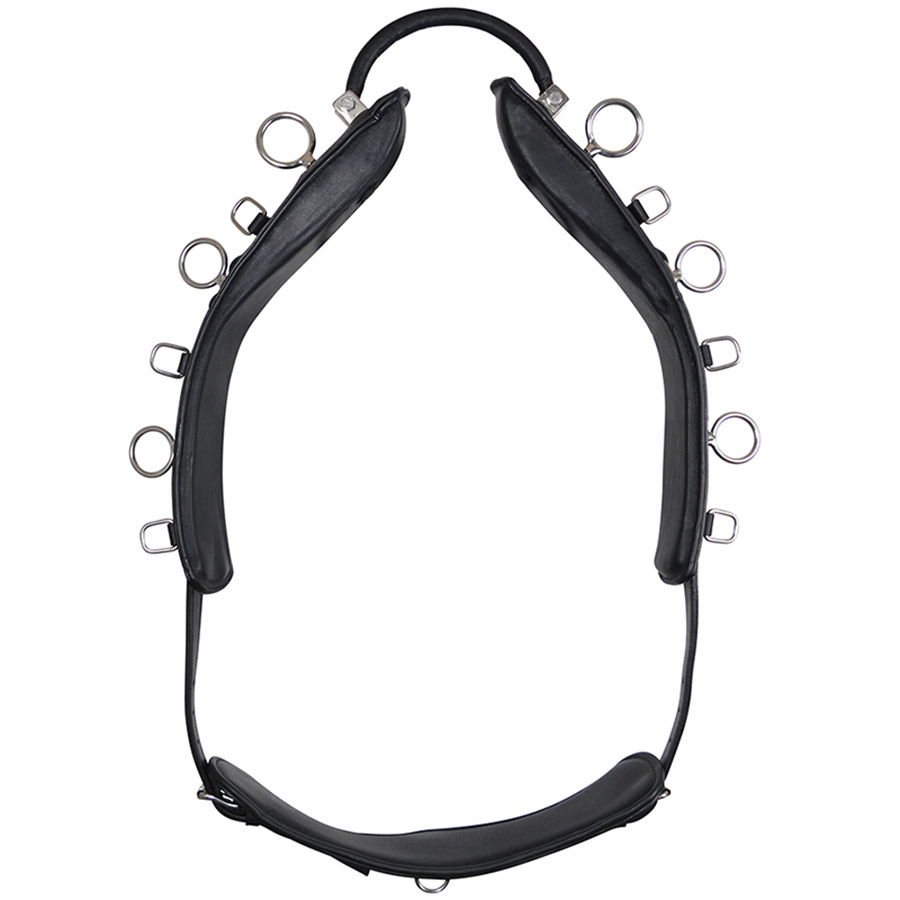 Longiergurt mit Bogen HS Schwarz