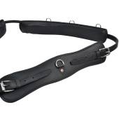 Longiergurt mit Bogen HS Schwarz Longiergurt mit Bogen HS Schwarz