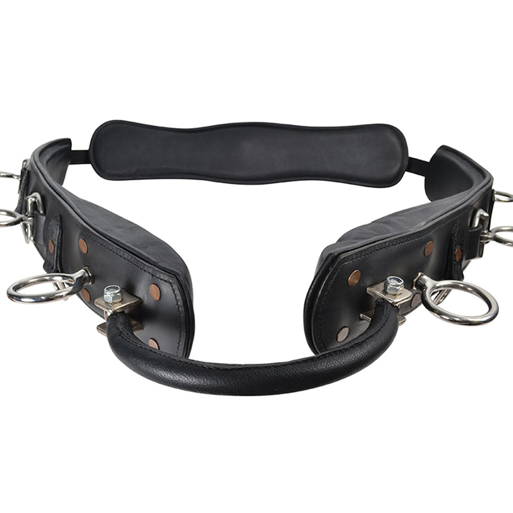 Longiergurt mit Bogen HS Schwarz