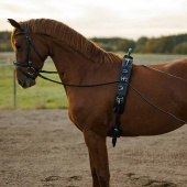Longiergurt mit Bogen HS Schwarz Longiergurt mit Bogen HS Schwarz