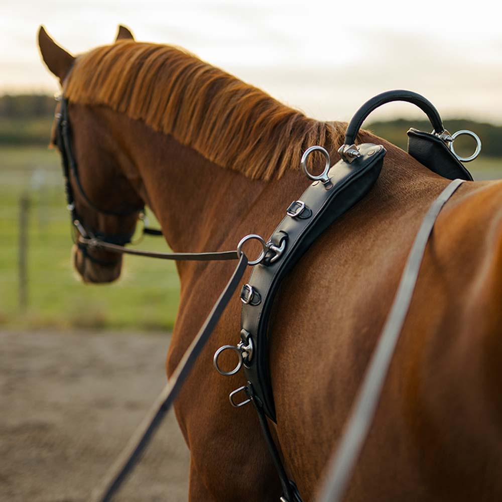 Longiergurt mit Bogen HS Schwarz