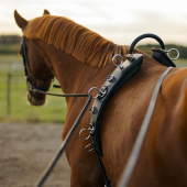 Longiergurt mit Bogen HS Schwarz Longiergurt mit Bogen HS Schwarz