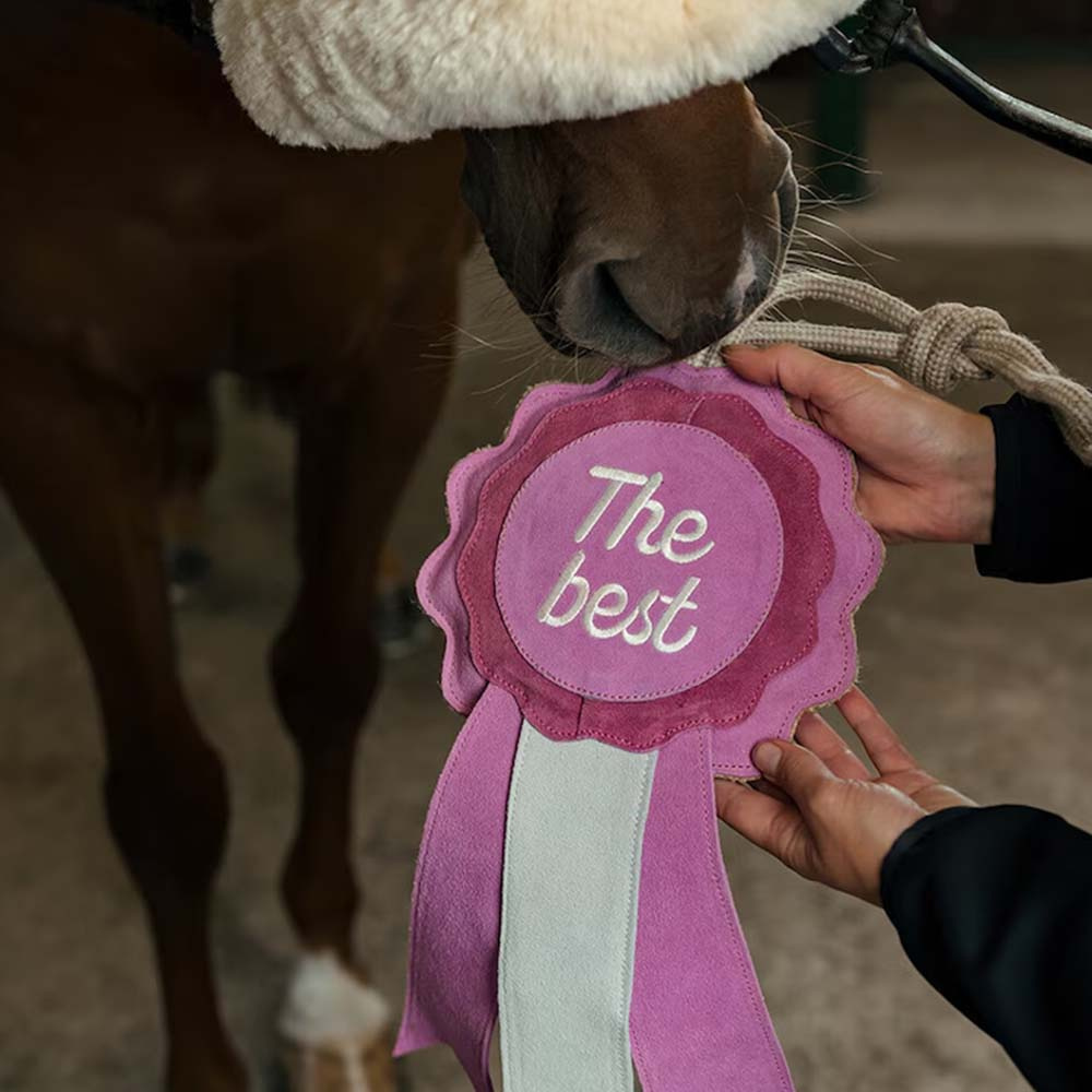 Pferdespielzeug HS Preisrosette The Best Rosa
